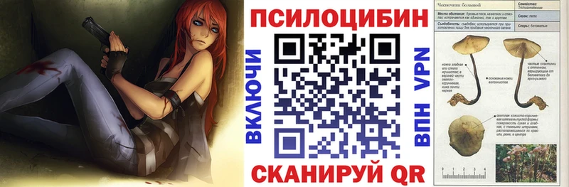 купить закладку Сасово Псилоцибиновые грибы Psilocybine cubensis